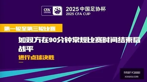 ：酱油钱变身醋款，审计揭示转移支付疑云与风险